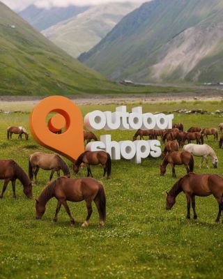 Rok 2026 je rokem ohnivého koně. Rokem svobody, odvahy a pohybu vpřed. 🐎🔥 Přejeme vám, ať vás nový rok nese přesně tam,...